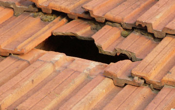 roof repair Saul